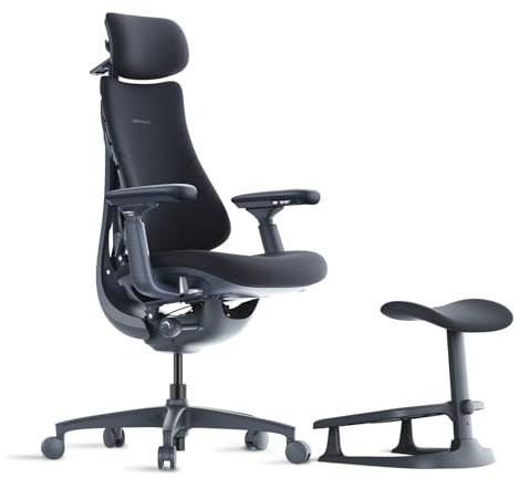 LiberNovo Dynamic Ergonomic Office Chair with Footrest, Desk Chair | Adaptive Lumbar Support, 160° Recline, Built-in Spine Stretch, for Home Office, Work From Home and Long Hours, Black 48cm