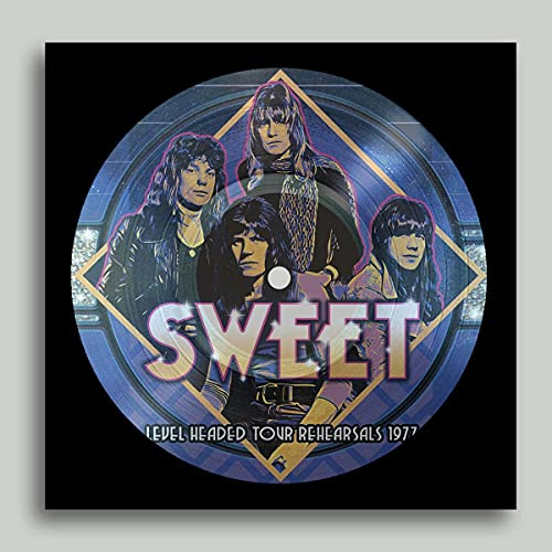 Level Headed Tour Rehearsals 1977 (Picture Disc) [Vinyl LP]