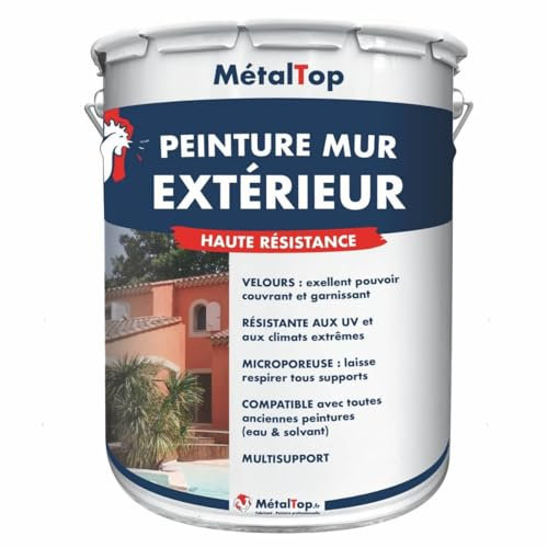 Metaltop - Peinture Mur Exterieur - Gris fenêtre - RAL 7040 - Pot 5 L