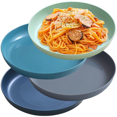 NOZVYCI 23CM Lot de 4 Assiette Plate Incassable Assiette à Dîner Allant au Micro-ondes et au Lave-vaisselle Assiette Enfants Familiale pour Dessert Pizza Salade (Couleur Foncée)