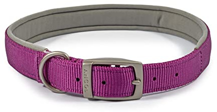 Ancol Viva Padded Soft Touch Dog Collar with Satin Buckle - Adjustable Weatherproof Comfortable Pet Neckband, Purple, 45-54cm