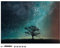 Navaris Tableau magnétique - Panneau mémo 70 x 50 cm avec aimants - Tableau Mural Design Nuit étoilée avec marqueur