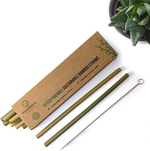10 Bamboo Drinking Straws by PlanetNatura | Bamboo Straws Reusable | Natural Sustainable Straws | Eco Friendly Biodegradable Organic Plastic Free Zero Waste | Cocktail Straws and Cleaning Brush