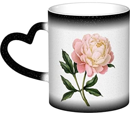 VAGILO Tasse mit Pfingstrosen-Farbwechsel, wärmeempfindlich, thermisch reagierend, magischer Becher aus Keramik und Porzellan, langlebige Qualität, stimmungsreflektierende magische Tasse
