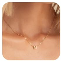 Aidenn Kette mit Buchstaben Klein Anhänger Damen Frauen 18 Karat Vergoldet Initialen Choker Halskette Namen Buchstabenkette Hypoallergene Anfangsbuchstaben M schmuck Geschenke Teenager Mädchen