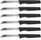 Solingen Messer Obstmesser Küchenmesser Gemüsemesser (6er Set, Schwarz)