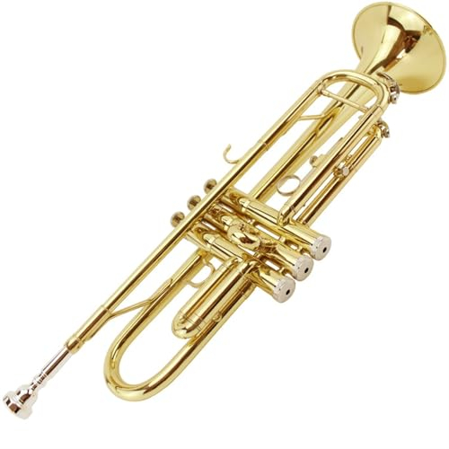 YDVGERTH Trompeten B-Trompete Instrument Anfänger Einsteiger Trompete Instrument Monel Live Edelstahl Messing