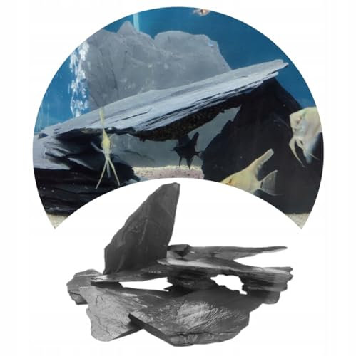 TD STONES Aquarium Schiefersteine Natürlich 1 kg – Strukturierte Natursteine Deko für Aquascaping, Rückwand & Höhlen – Terrarium Zubehör – Handverlesen, Wasserneutral, Sofort Einsetzbar, Dekosteine