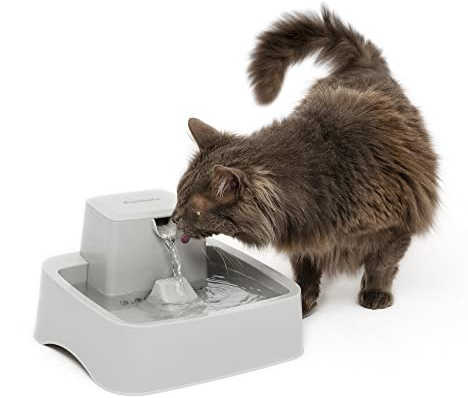 PetSafe Oasys Fontaine à eau pour petit animal de compagnie, fontaine à eau pour petit chien et chat, distributeur d'eau filtrée avec contrôle du débit, facile à nettoyer, filtres inclus, 1,9 L