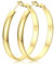 FIOROYAL Creolen Ohrringe Silber 925 für Damen 14K Vergoldete Große Creolen Gold Ohrringe Hypoallergene Breite 5mm für Mädchen 30/40/50/60mm Gold 40mm