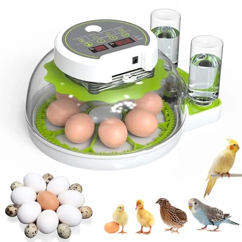 CISSIYOG Brutautomat Vollautomatisch mit Eier Wenden | Temperaturkontrolle und Wasserversorgung, 360° Deckel, 18-36 Egg Inkubator Hühner für Hühner, Gänsen, Enten & Wachteleier