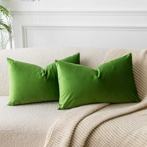 JUSPURBET Apfelgrün Lendenkissen Samt-Kissenbezüge 40cmx60cm 2er-Set für Wohnzimmer Couch Sofa Schlafzimmer Dekorative Rechteckig Feste Weiche Kissenhüllen mit unsichtbarem Reißverschluss