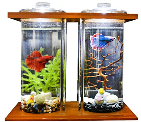 JKIOHO Vivarium en verre cylindrique de 3,2 l avec éclairage LED, couvercle en bois pour décoration d'intérieur, convient pour poissons Betta, petites plantes et pierres
