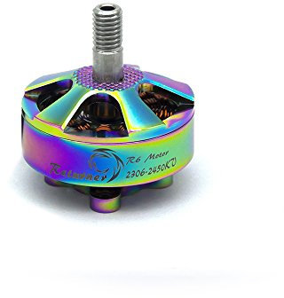 VIDOO Rückkehrer R6 Regenbogen 2306 2450KV 4-5S Brushless Motor 16cm Draht für RC Drone