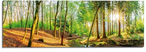 REINDERS Wandbild, Sonniger Wald, Wohnzimmer, Bilder, Wanddeko, Room Decor, MDF, Grün, 52 x 156