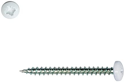 Vite per legno 5x40 mm RAL 9010 bianco puro testa cilindrica Pz2 Zi da 100