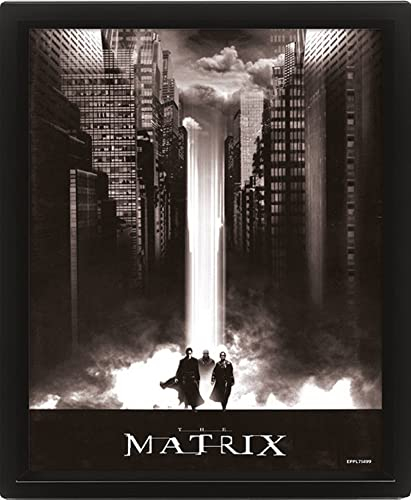 Pyramid International The Matrix Poster in 3D, Wandkunst Linsenraster-Poster im Rahmen (Lichtfall-Design), 25 cm x 20 cm x 1,3 cm, im Kunstwerk-Rahmen, offizielles Lizenzprodukt