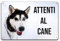 Schild Vorsicht vor dem Hund aus Verbundalumnium, 3 mm (20 cm x 15 cm), Husky