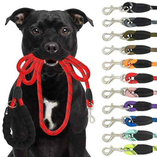 Reichstadt Pets Hundeleine 25RSP084 Red 1,5m | Weiches Nylon mit EVA-Griff, reflektierend, drehbarer Metallhaken | robuste Führleine für kleine, mittelgroße, große Hunde