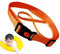 Schwimmtraining Gürtel, Pool Schwimmen Training Leine, Gurt Taille Gürtel, Swim Tether für aufblasbare Schwimmboje Pools u