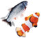 Nepfaivy Jouets pour chats - Jouet interactif herbe à chat - Poisson en peluche mobile avec charge USB, fournitures pour chats pouvant être utilisées pour mâcher