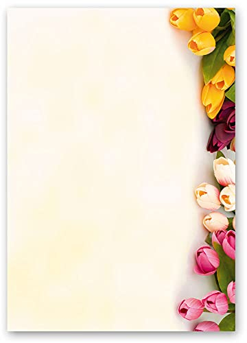 50 Blatt Briefpapier BUNTE TULPEN - DIN A5 Format - Blumen & Blüten