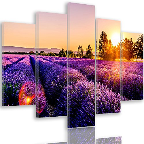 Feeby. Leinwandbild - 5 Teile - Bilder, Wand Bild, Wandbilder, Kunstdruck XXL, 5-Teilig, Typ A, 200x100 cm, WIESE, LAVENDEL, NATUR, VIOLETT
