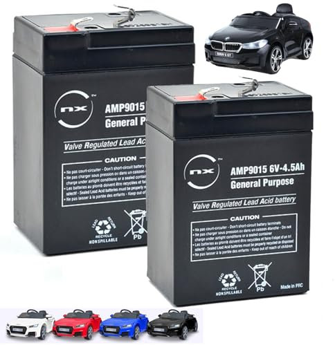 NX Replacement Rechargeable Batteries for Kids Ride-On Audi TT RS Sports Car, Benz SLC 300, Kids Electric Ride-ons Motorcycle Electric Motorbike, BMW 6GT, 2 x 6V-4.5ah