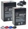 NX Replacement Rechargeable Batteries for Kids Ride-On Audi TT RS Sports Car, Benz SLC 300, Kids Electric Ride-ons Motorcycle Electric Motorbike, BMW 6GT, 2 x 6V-4.5ah