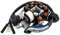 Stator - Lichtmaschine 7 Spulen Minarelli Motor liegend