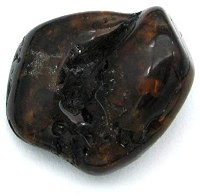 Amaryllis Trommelstein Bernstein dunkel 1 Stück, Größe:L