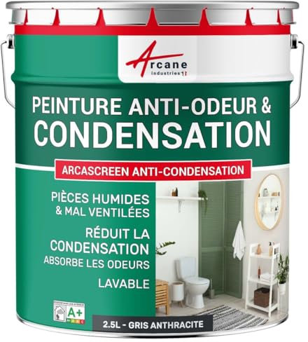 Peinture anti condensation, anti odeur, moisissure - 2.5 L Gris Anthracite - RAL 7016 - ARCANE INDUSTRIES