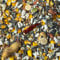 BusyBeaks African Grey Parrot Food | High Energy & Protein NO1 Mix | Nutritious Wild Garden Bird Feed | Additive Free Cleaned to 99.9% Purity | Provides Both Mental and Physical Stimulation (2.5kg)
