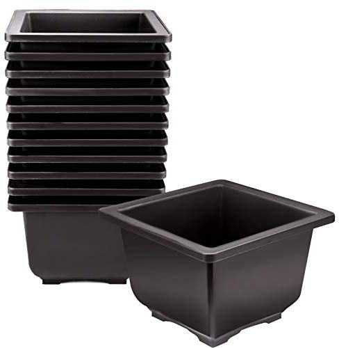 KINJOEK 15 PCS 5.1 Inch Plant Pot, Square Plastic Bonsai Training Pots, Flower Succulent Pots Container for Garden, Indoor, Home Decorative