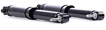 RIDEX 854S1658 2x Stoßdämpfer Hinten für RENAULT MEGANE III Grandtour (KZ0/1)
