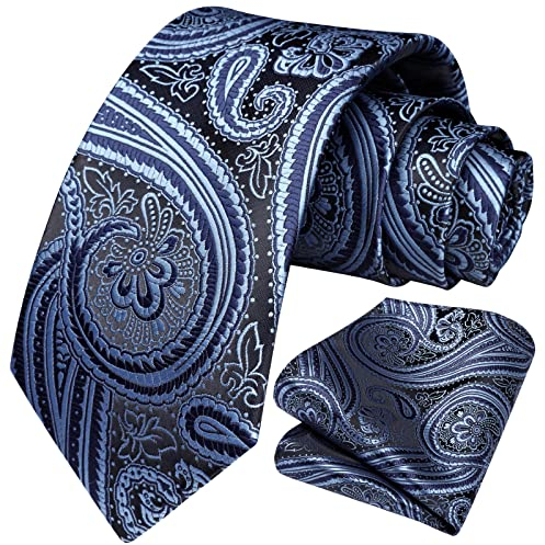 HISDERN Paisley Krawatten für Herren Hochzeitskrawatte Einstecktuch Herren Krawatte & Einstecktuch Set