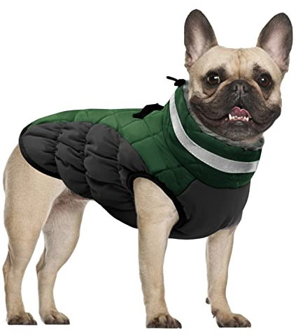 CITÉTOILE Hundemantel Winter,Wintermantel Hund,Hundemantel mit Geschirr, Warme Hundejacke für Kaltes Wetter, Hundemantel Wasserdicht mit Fleece Gefütterte, Winddichtes Reflektierend Winterweste