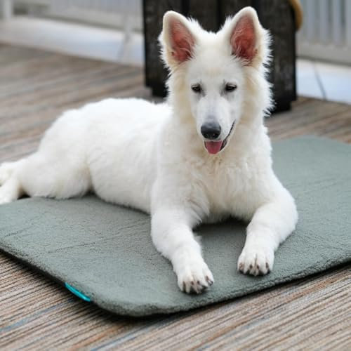 Manuly Hundedecke für unterwegs, Set aus Hundematte selbstaufblasend, robusten Teddy Stoff Bezug und Tragetasche, waschmaschinentauglich, Bezug kann gewechselt Werden, 100x70x3,5cm, 1080g