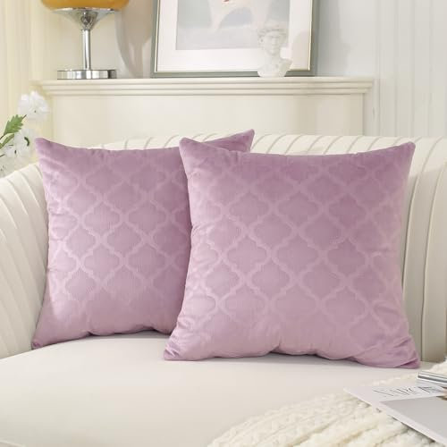 Ystyle Fundas de Cojines 2 Piezas Funda Cojin 50x50 Cuadrado Decoracion Hogar Sofa Cama Salon de Estar Dormitorio Sillas Jardin Habitación de los niños Terciopelo Elegante, Morado