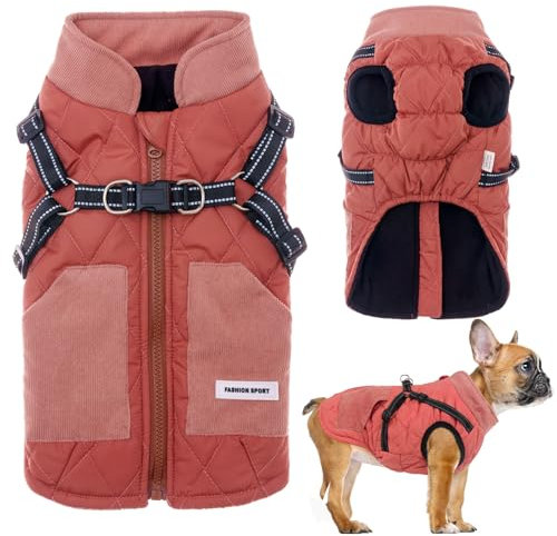 Hundemantel Hundejacken mit Geschirr, Winter warme Jacke Winddicht Haustier Kleidung mit Tasche Design Schneeanzug Hundejacken für kleine mittlere Hunde (Rot, M)