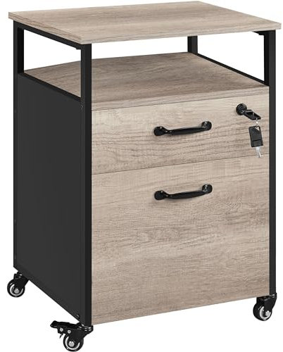 Yaheetech Rolling File Cabinet Mobile Office Cabinet on Wheels Industrial Vintage File Cabinet with 2 Drawers for Home and Office Black/Grey