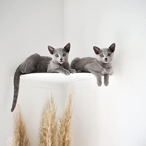 LucyBalu® Corner Katzenliege & Kletterstufe mit Filzauflage für Wandecken | Wandliege für Katzen | Katzenstufe Wandecke | Katzen Wand Liegeplatz | Katzenregal | Katzenmöbel für Kletterwand | Weiß