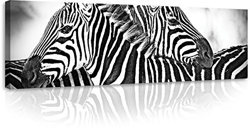 Forwall - Leinwand Bilder - Zebra schwarze und weiße Tiere - 145x45 cm Leinwandbilder - Bild auf leinwand - Wandbild XXL groß Wandbilder für Wohnzimmer Schlafzimmer Wohnzimmerbilder Modern kunstdruck