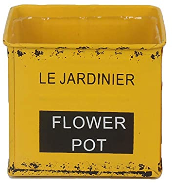 NICETOW Vasos de Flores Grandes para jardim, Vaso para Plantas Vintage Vaso de Metal Suculenta Plantador de cactos Recipientes de balde Barril de jardim Decoração de escritório doméstico par