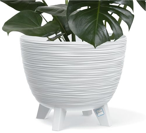 EDANTI Blumentopf Blumenkübel mit Füßen Pflanzkübel Rund Übertopf Pflanztopf Schale Pflanzschale (Weiß, 29 cm)