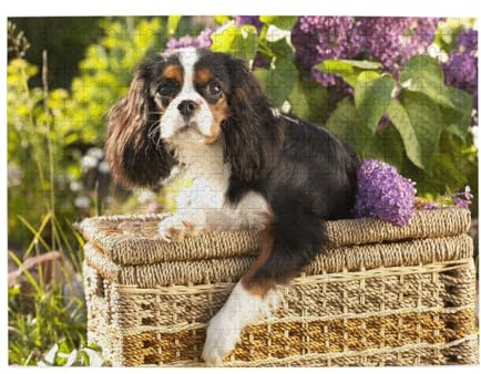 Cavalier King Charles Spaniel (4) – 500-teiliges Holzpuzzle für Erwachsene und Senioren