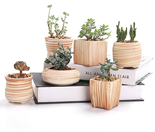 SUN-E 6 In Set da 7.6 cm in ceramica Grano di legno Succulente Vaso da fiori di cactus Vaso da fiori Vaso di fiori contenitore Planter regalo Idea