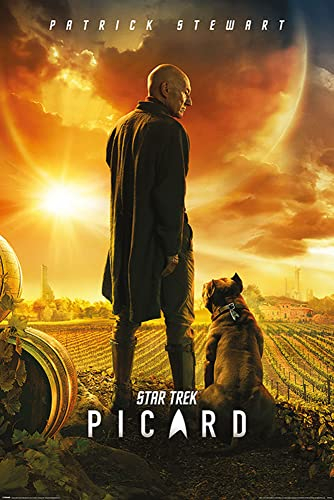empireposter Star Trek - Picard Number One - Film Movie Poster Plakat Druck - Größe 61x91,5 cm + Wechselrahmen, Shinsuke® Maxi MDF schwarz, Acryl-Scheibe