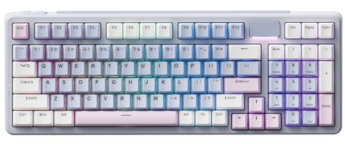 RAPOO V700DIY-98 Wireless Mechanical Keyboard, BT5.0 + 2.4GHz, Hot Swappable Custom Gaming Keyboard, Speed Silver Linear Switch, 16.8M Per-Key RGB, Gasket Mount, Creamy Sound, Anti-Ghosting, US Layout
