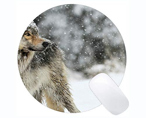 Round Gaming Mouse pad,Snowfall Wildlife Winter Animal Wolf Mouse Pads for Computers Laptop 230mm x 230mm x 3mm)